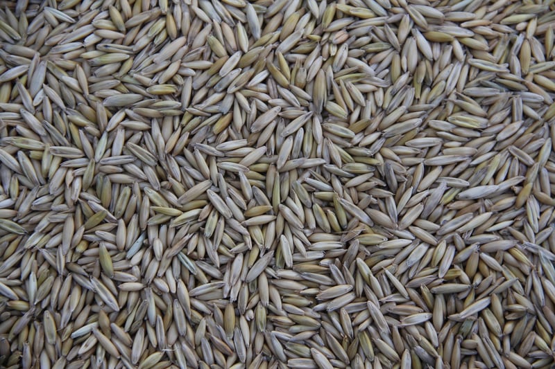 Quinoa
